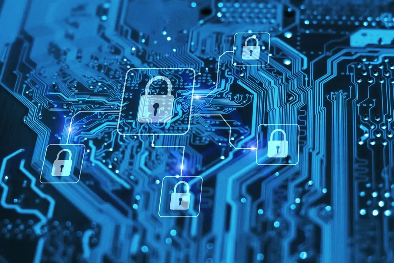 Secure net.webp