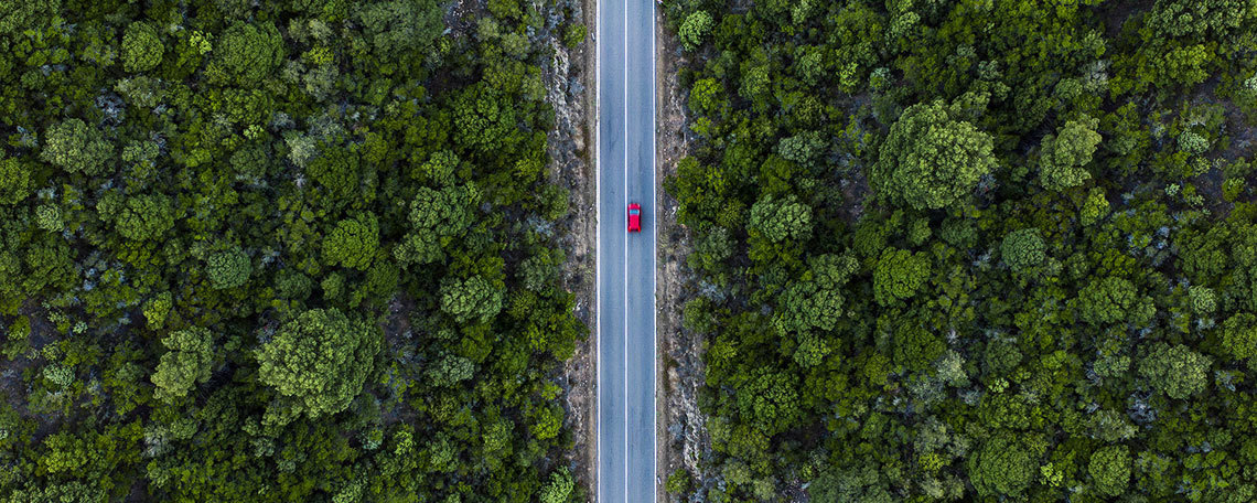 Aerial view of a winding road cutting through a dense green forest, showcasing the natural landscape from above.
