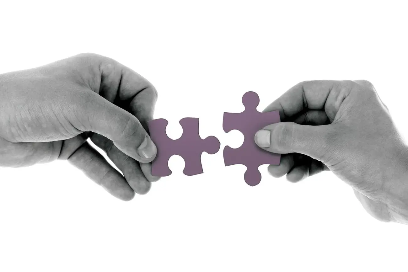 joint solution_0.webp
