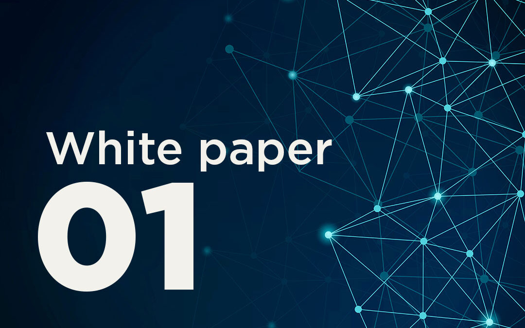 SecuriVPN Three Domain Separation – White Paper #01