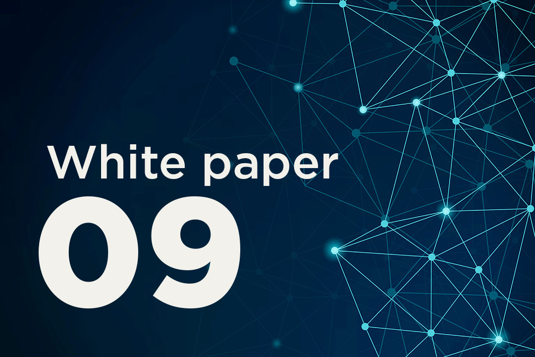 Secure digitalisation using allowlisting – White Paper #09